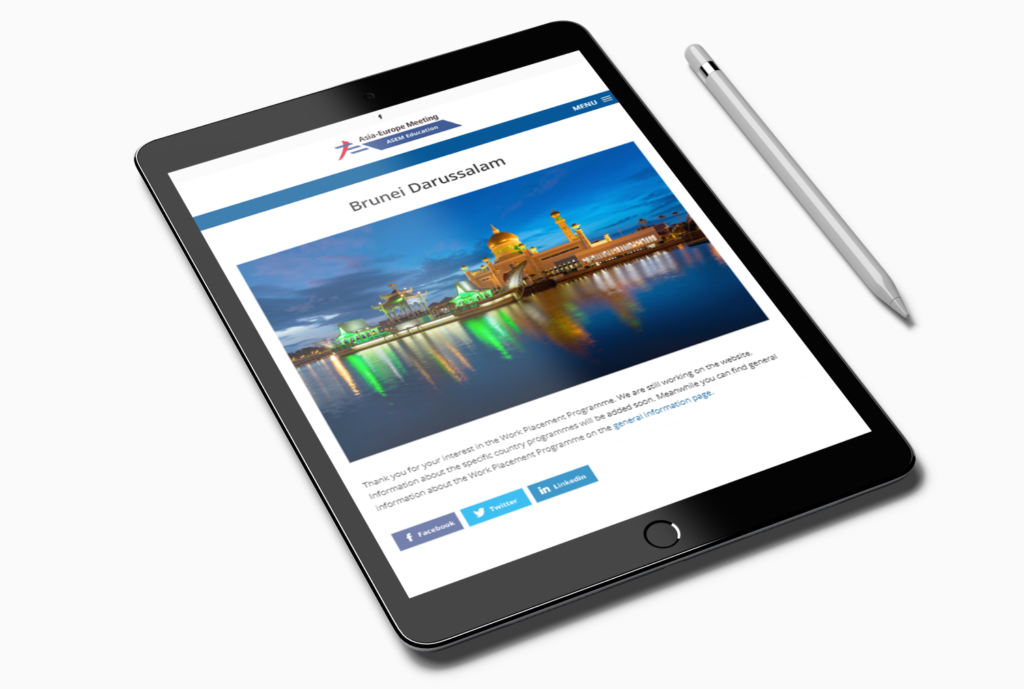 API WordPress website