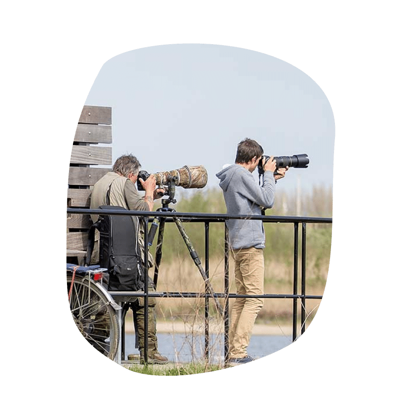 Website laten maken Sint-Niklaas Ontdek het Waasland