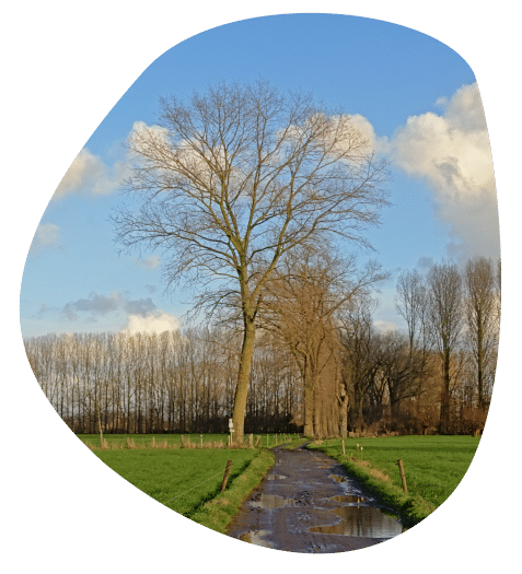 Veldweg Asse
