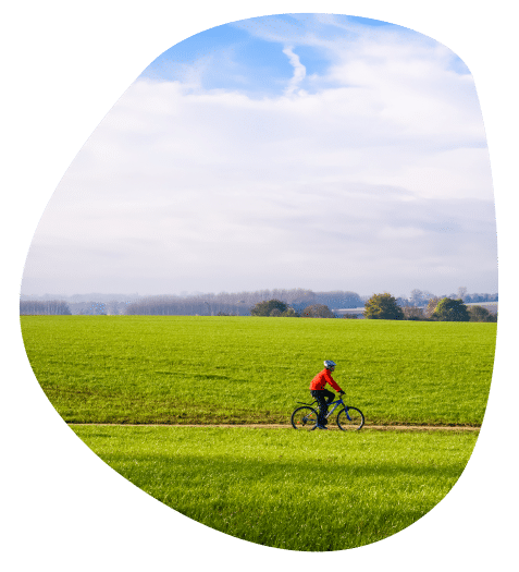 Landschap Zottegem