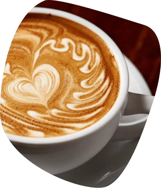 Website laten maken Lokeren Caftec
