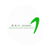 Didier Bocqué - B&V Invest