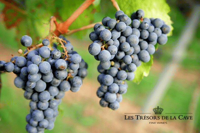 Tresors De La Cave