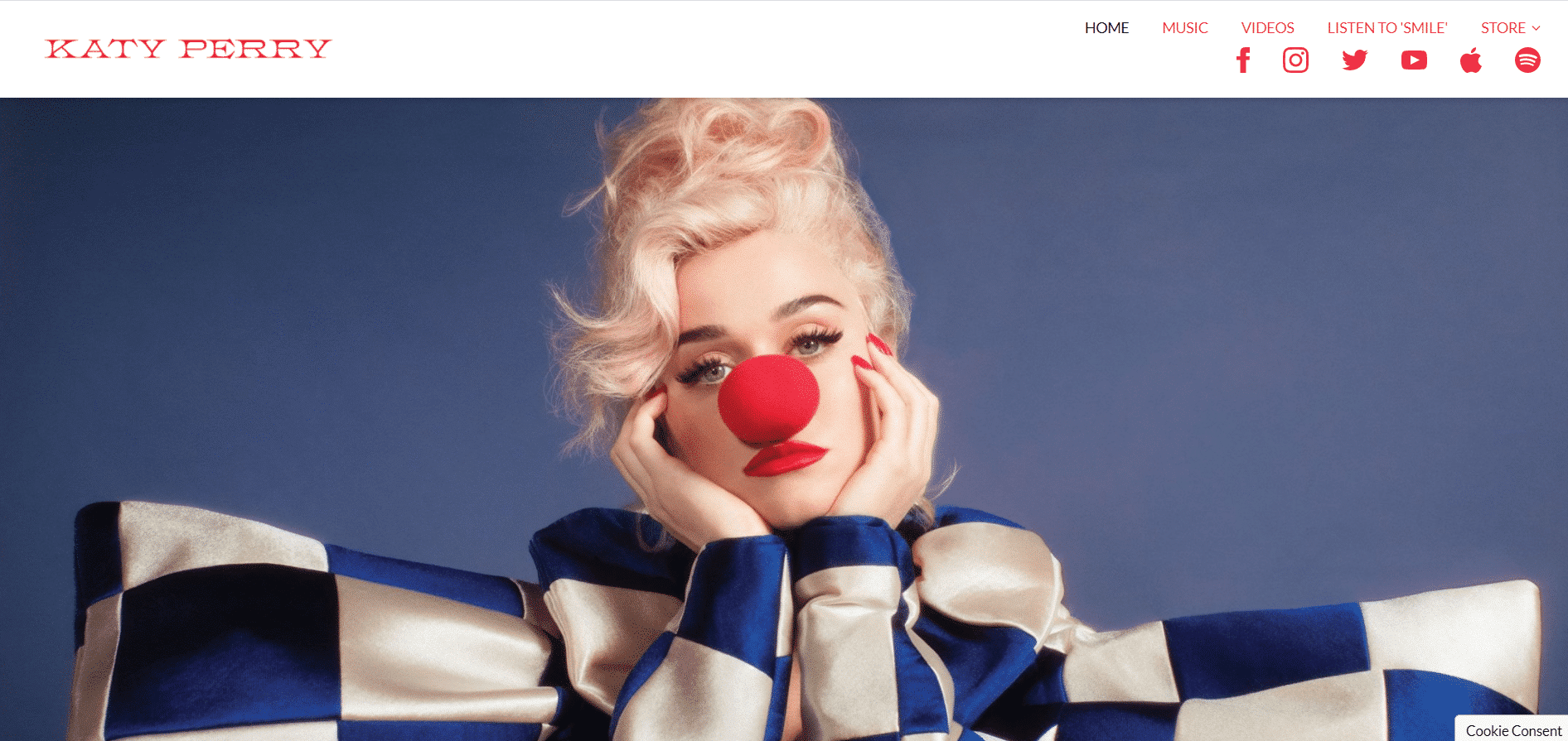 Website Katy Perry in WordPress