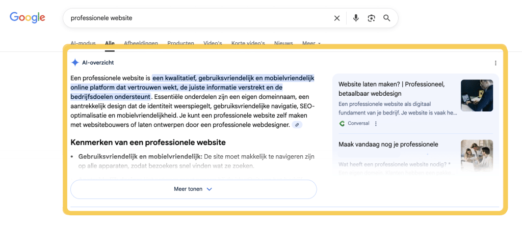 ai overview voorbeeld