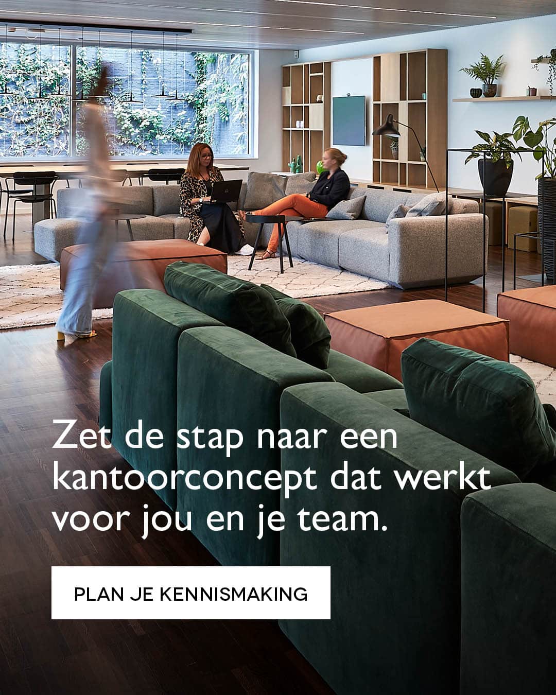 Voorbeeld ads campagne