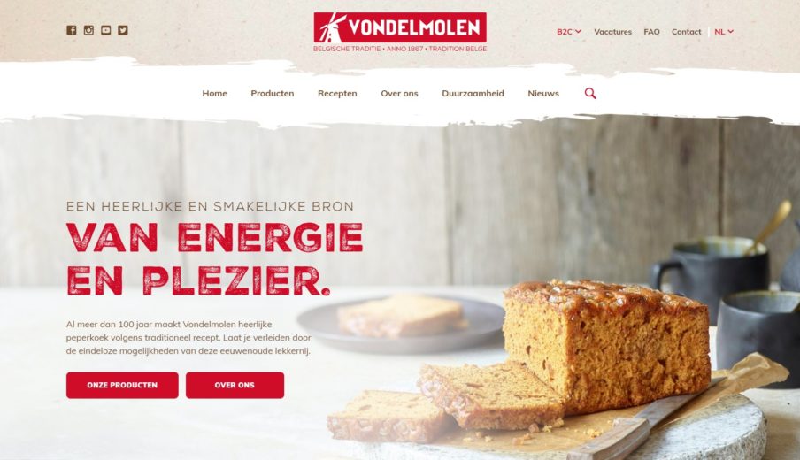 WordPress website laten maken