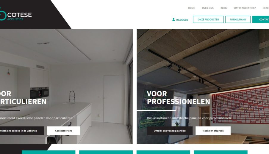 Website laten maken in Berlare