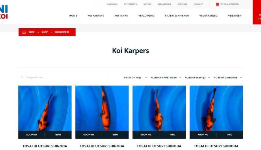 WordPress webshop laten maken