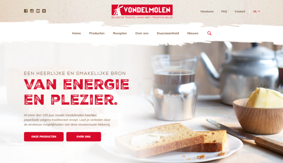 WordPress webdesign Vondelmolen