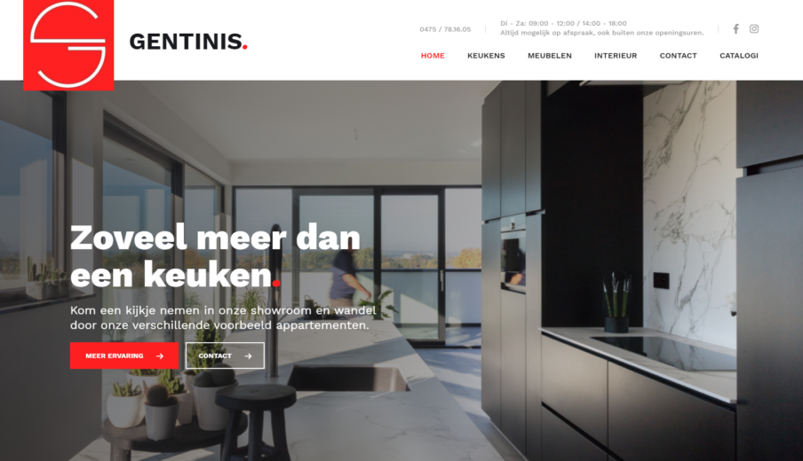 Professionele Website Gentinis Oost-Vlaanderen